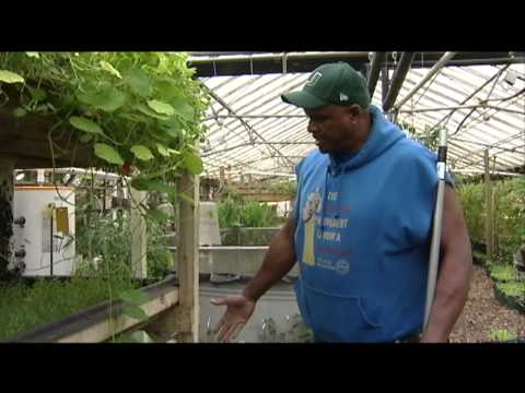 Student Ops 2012 | Program | City Farmer