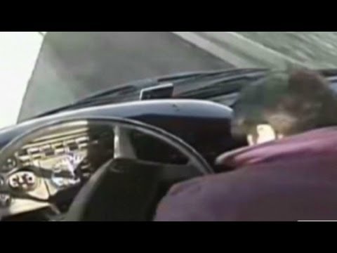Bus driver passes out behind wheel (cnn) 3/3/13