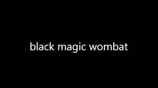 blue magic wombat