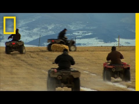 American Colony: Meet the Hutterites - Four Wheeler Race