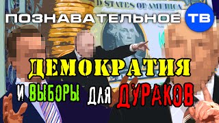 Демократия и выборы для дураков (Артём Войтенков)