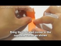 1 - Origami Sea Urchin Star (Martin Sejer Andersen)