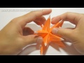 3 - Origami Sea Urchin Star (Martin Sejer Andersen)