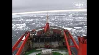 Гайдашов о белорусской антарктической станции
