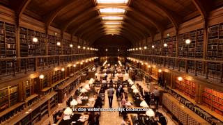 LES YEUX JAUNES DES CROCODILES - trailer