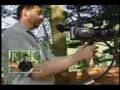 Steadicam Merlin Body Positions Steadicam Merlin Body Positions