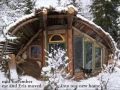 16 year old builds tiny home to guarantee mortgage-free future - Page 2 Default