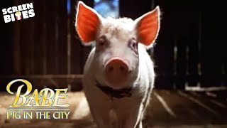 "Babe: Pig in the City" - Official Trailer