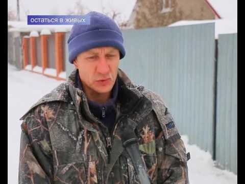 День за днем итоги недели миасс День за днем итоги недели миасс