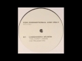 You Don't Know (Joe Claussell Remix) - Cassandra Wilson