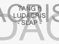 Tang Ft Ludacris - Slap