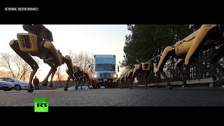 Десять четвероногих роботов от Boston Dynamics буксируют грузовик (17.04.2019 18:28)