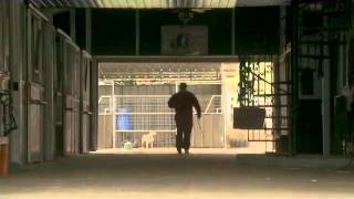 The Dog Who Saved the Holidays Trailer for Movie Review at http://www.edsreview.com