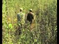 Des agriculteurs dans leur champ