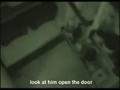 farting cat - the the real story