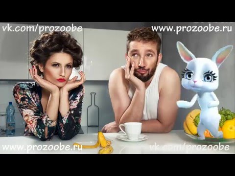 Стих много не пей Стих много не пей