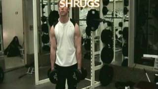 Shrugs Workout Muscles