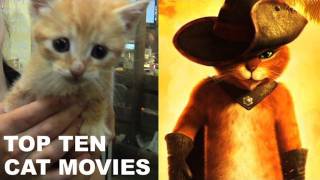 Puss In Boots 2011: Cats and Kittens on Film! - Beyond The Trailer