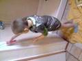 miniature