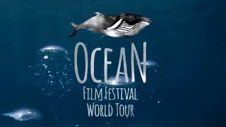 Ocean Film Festival Trailer 2016