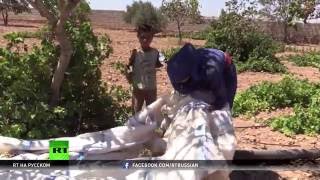 Демократические силы Сирии обезвредили тысячи мин ИГ в Манбидже