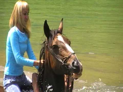 купание на лошадях в озере