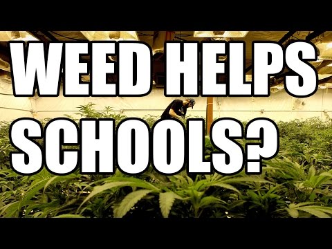 Legalized Marijuana = Millions For Public Schools In Colorado