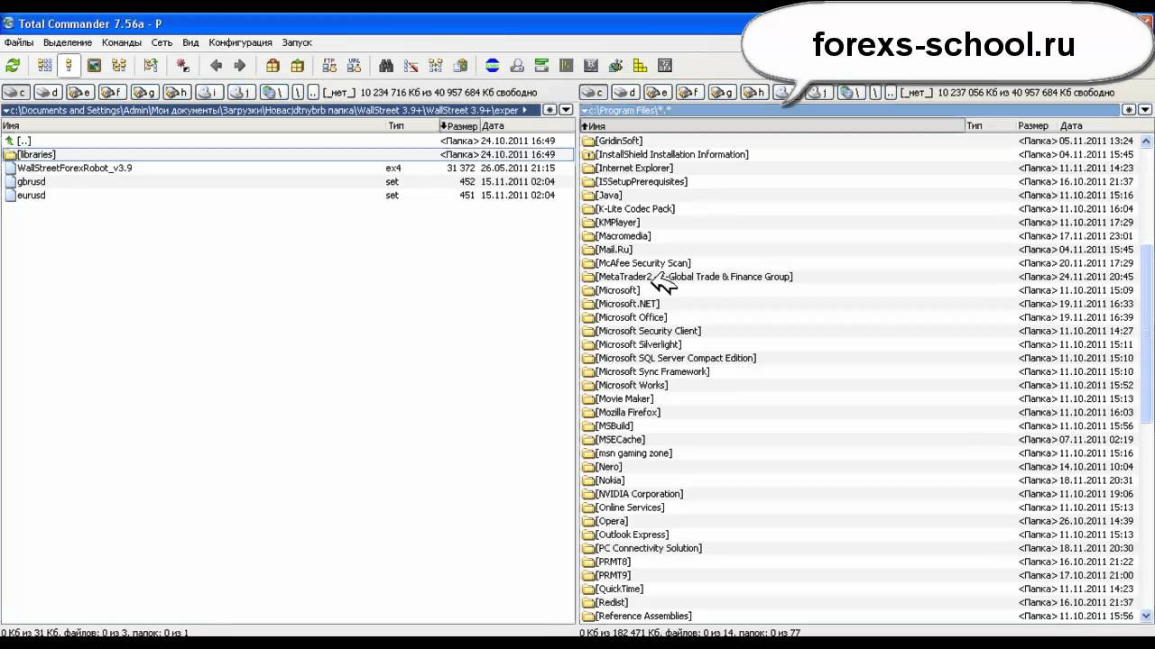 Forex robot myths
