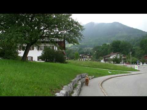 ago Berchtesgaden-Oberau,