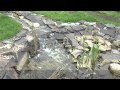 Dolní Benešov: Revitalizace a výsadba