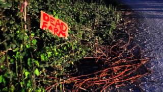 Dead Farm (2015) Teaser Trailer