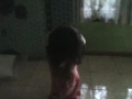 Photo Rok Melorot Audrey 3gp