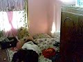 Image Kelakuan Pelajar Smp Part 1