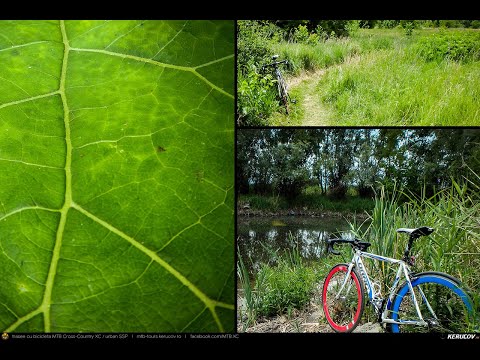 VIDEOCLIP Cu bicicleta prin Bucuresti: Parcul Natural Vacaresti [VIDEO]