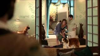 Mato Sem Cachorro (2013) - Trailer Oficial