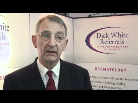 Registered Cardiovascular Invasive Specialist Randy Kelly