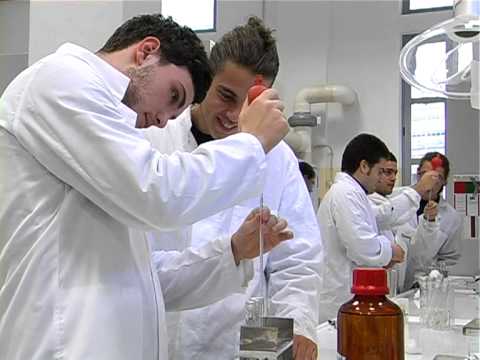 Istituto MONTANI: Chimica Materiali e Biotecnologie