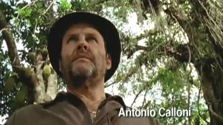 ANJOS DO SOL (2006) TRAILER