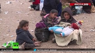 На грани катастрофы: сотни мирных жителей гибнут в Мосуле