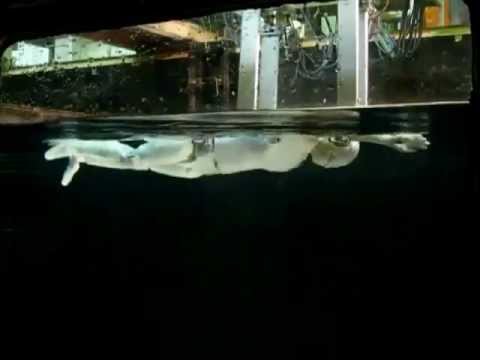 SWUMANOID (Swimming Humanoid robot)