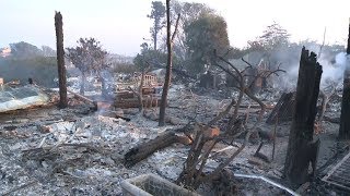 Главное за 60 секунд: катастрофические последствия лесных пожаров в Калифорнии