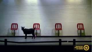 Nekem Budapest - Ferenczik Áron epizódja (teaser) Nekem Budapest - Ferenczik Áron epizódja (teaser)