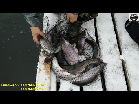 рыбалка в пирогово платник савельево 2 рыбалка в пирогово платник савельево 2