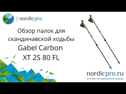 Gabel Carbon XT 2S 80 FL