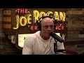Joe Rogan and Dave Smith pro Zohran Mamdani take[1]