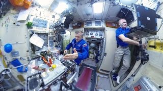 Космос 360: как отмечали новогодние праздники на МКС