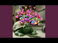 Turtle Song Persian Language 2.0
