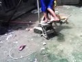 Photo Orang Vs Anjink Muda