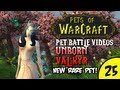 Pets of Warcraft Video 25 - Unborn Val'kyr - The World of Warcraft Battle Pet Vlog