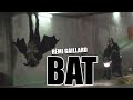 Bat (Rémi GAILLARD)